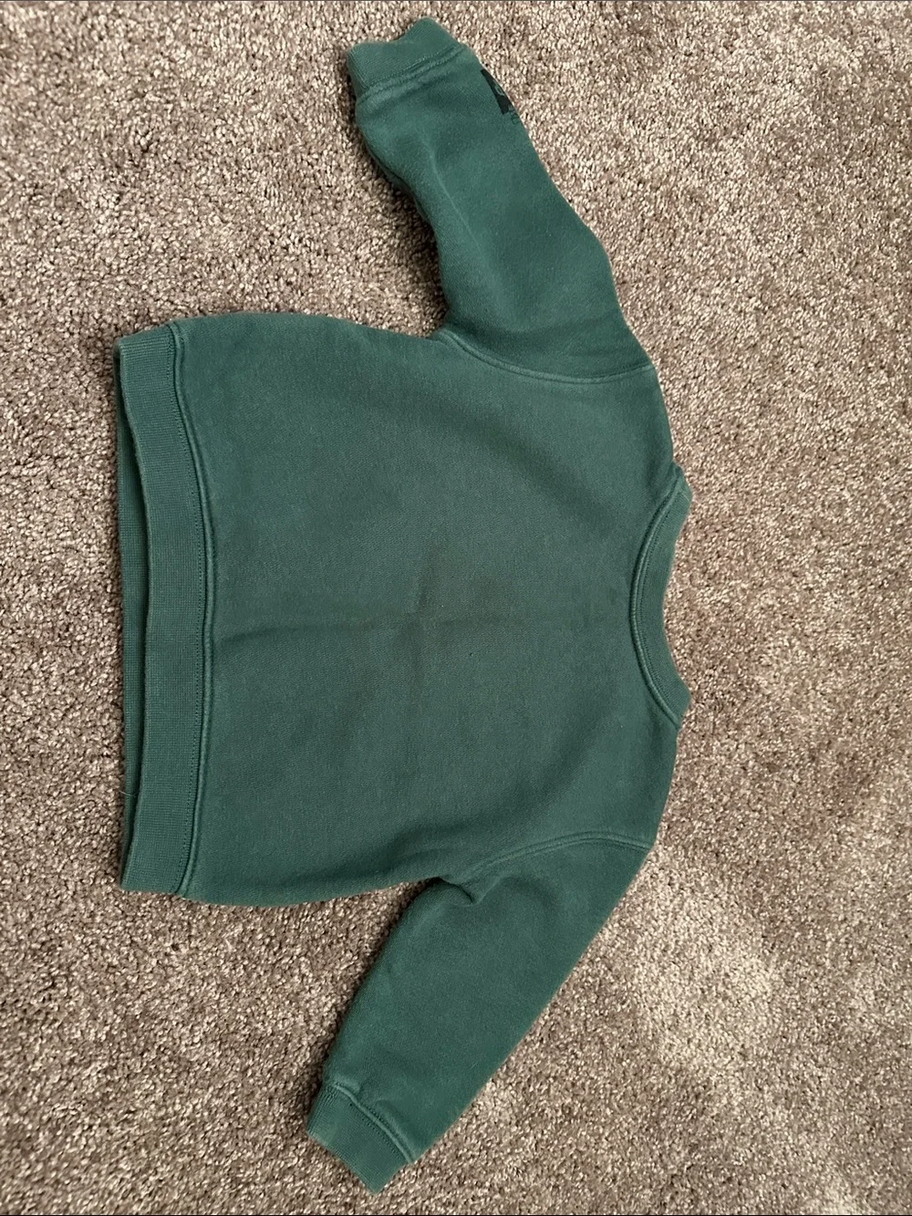 GAP x Sesame Street Oscar The Grouch Graphic Sweatshirt Size 12-18 months